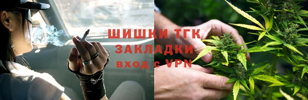 spice Аркадак