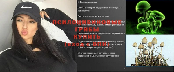 прущая мука Армянск