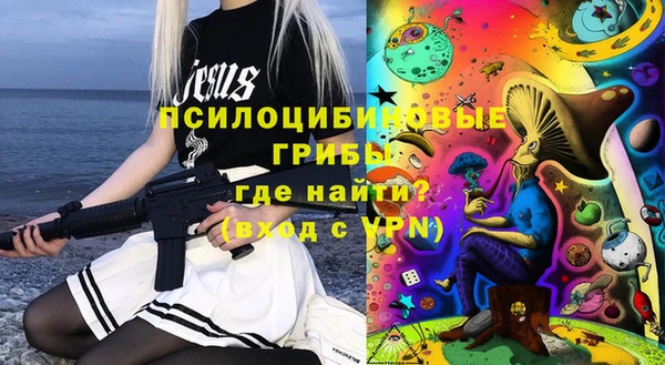spice Аркадак