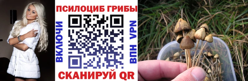Галлюциногенные грибы мицелий  Кудымкар 